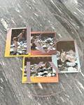 Limited Edition Holographic Polaroid